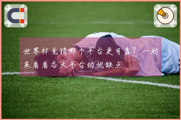 世界杯竞猜哪个平台更可靠？一起来看看各大平台的优缺点