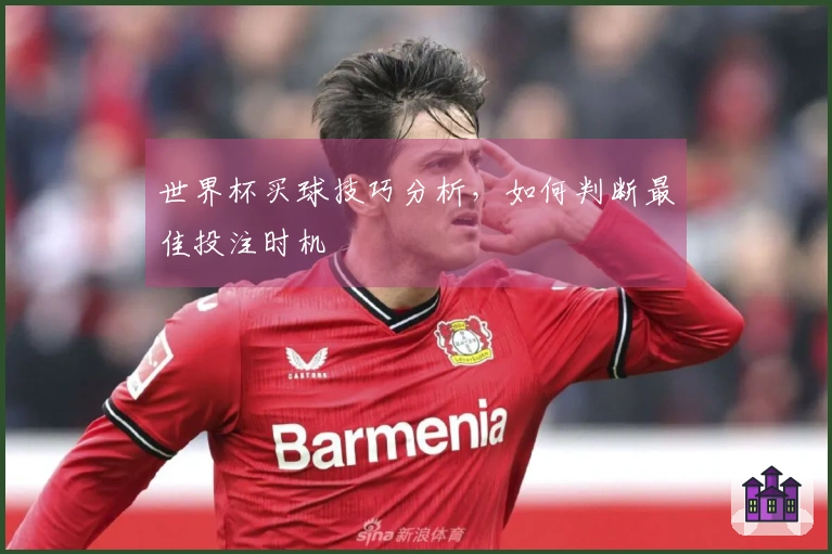世界杯买球技巧分析，如何判断最佳投注时机
