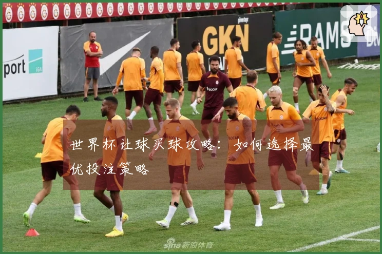 世界杯让球买球攻略：如何选择最优投注策略