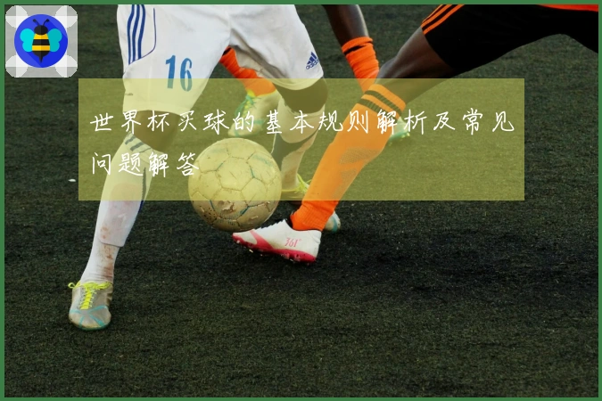 世界杯买球的基本规则解析及常见问题解答