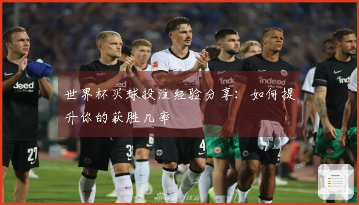世界杯买球投注经验分享：如何提升你的获胜几率