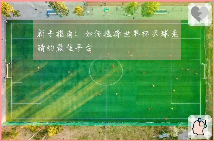 新手指南：如何选择世界杯买球竞猜的最佳平台