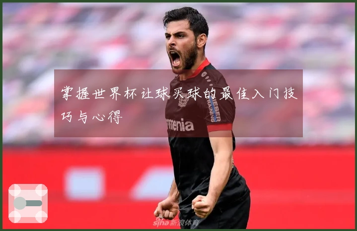 掌握世界杯让球买球的最佳入门技巧与心得