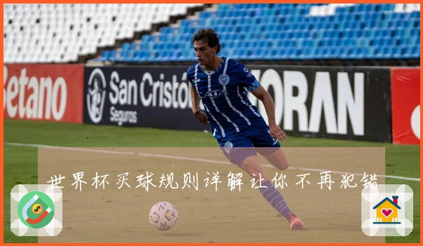 世界杯买球规则详解让你不再犯错