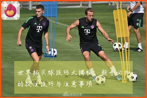 世界杯买球技巧大揭秘：新手必知的投注技巧与注意事项