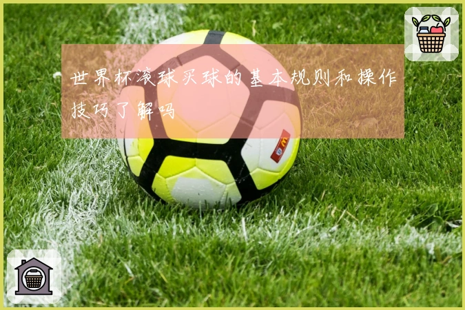 世界杯滚球买球的基本规则和操作技巧了解吗