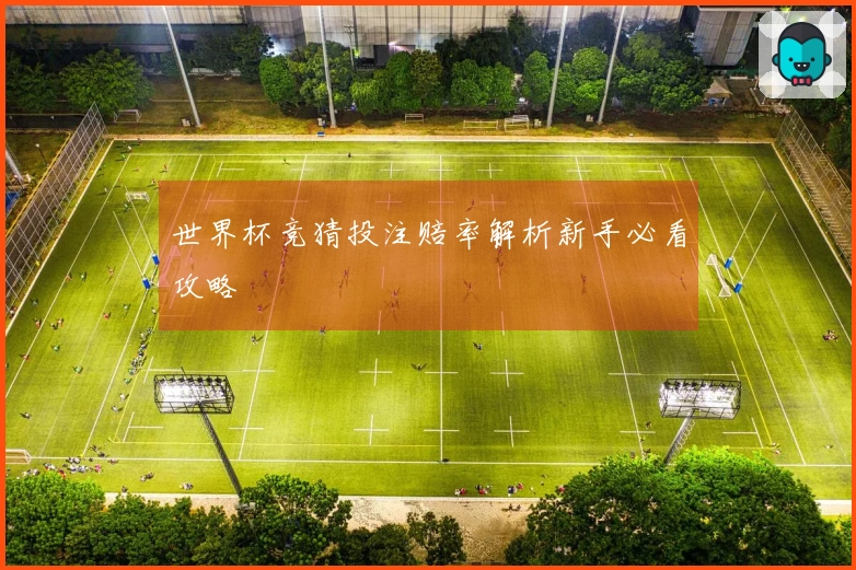 世界杯竞猜投注赔率解析新手必看攻略