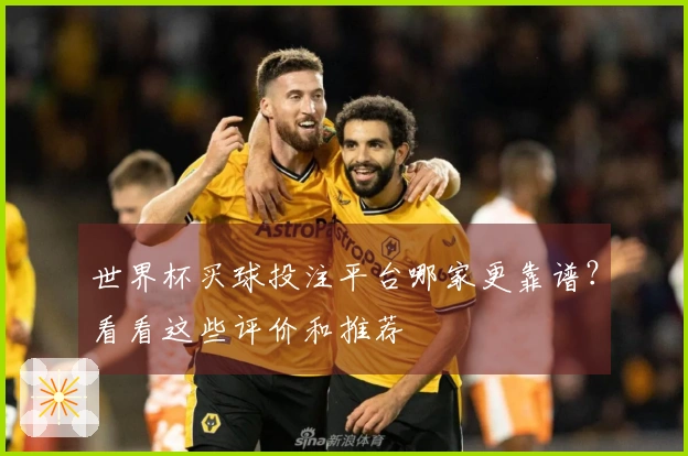 世界杯买球投注平台哪家更靠谱？看看这些评价和推荐