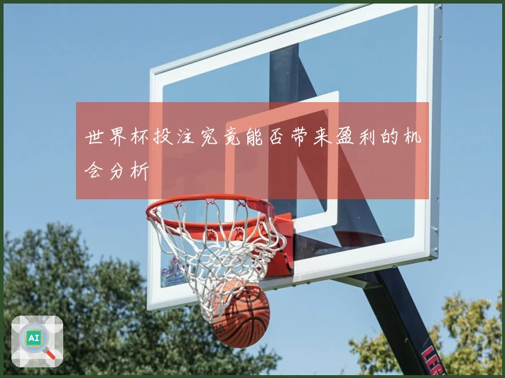 世界杯投注究竟能否带来盈利的机会分析