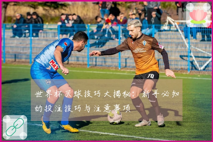 世界杯买球技巧大揭秘：新手必知的投注技巧与注意事项