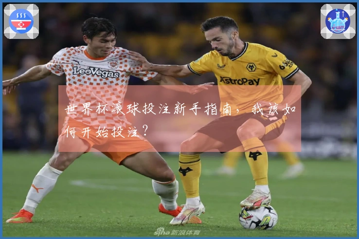 世界杯滚球投注新手指南，我该如何开始投注？